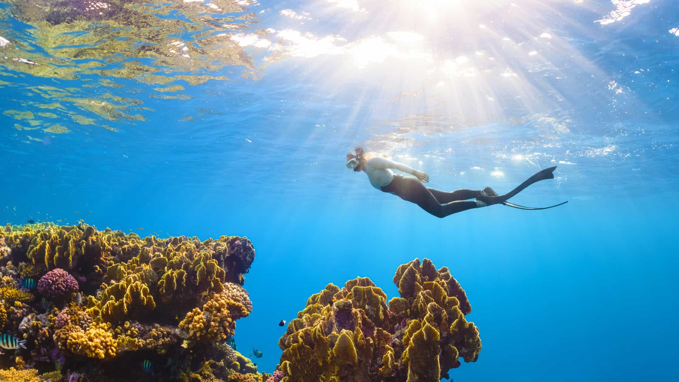 Snorkeling in Gili Trawangan