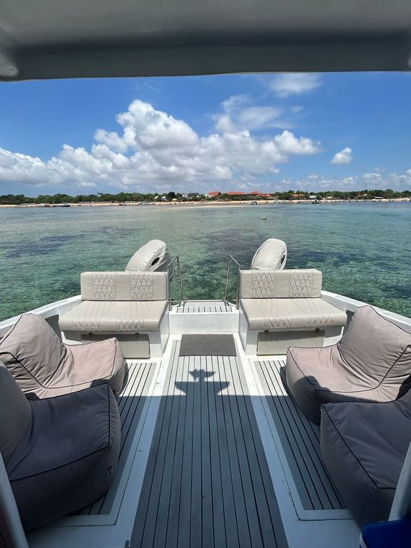 Twin — Private Boat Charter photo 10