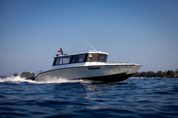 Twin — Private Boat Charter photo 2