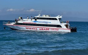Wijaya Abadi Cruise