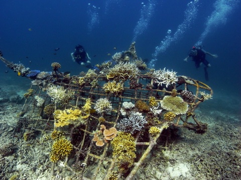 Biorock Reef Gili Trawangan — terumbu karang buatan